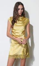 G2610D7355_LEMON