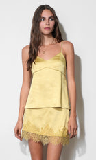G2610T7647_LEMON