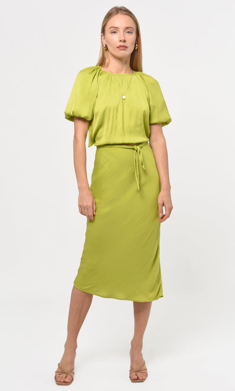 greylin green dress Tabitha Embroidered Cinched Waist Mini Dress