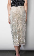 Gianna Velvet Sequin Midi Skirt