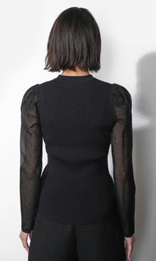 Honey Sheer Sleeve Sweater Top