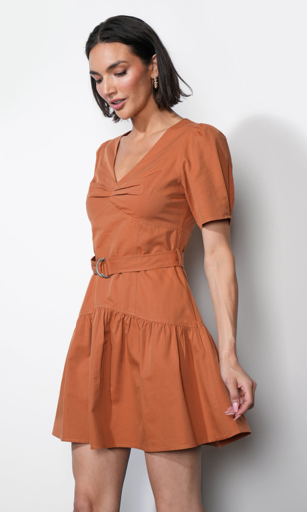 Hayden Puff Sleeve Belted Flare Dress