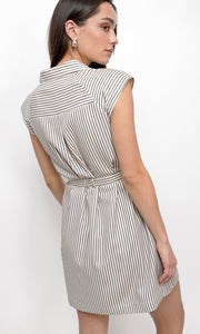 Snider Stripe Shirt Dress
