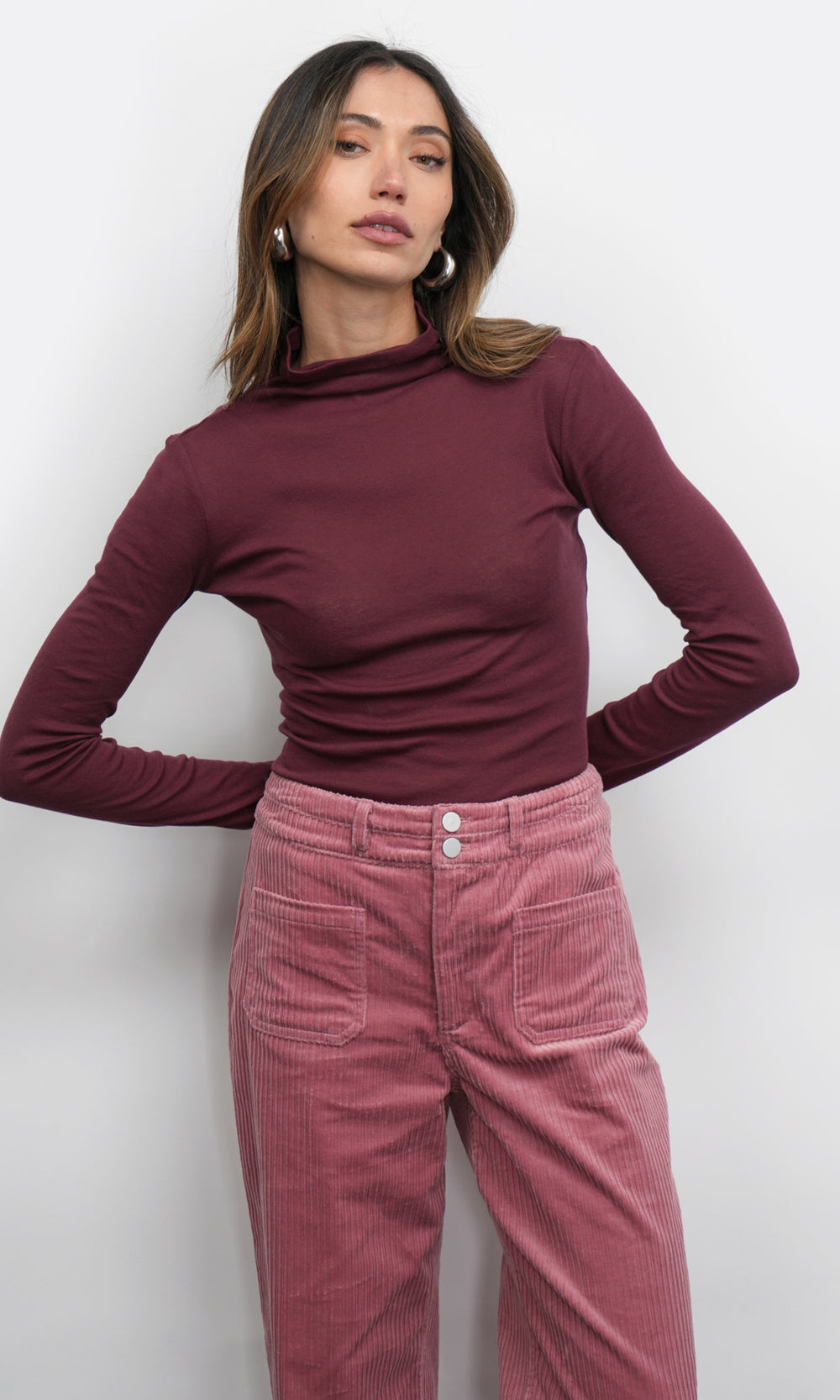 Astra High Neck Long Sleeve Sheer Knit Top