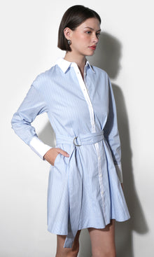 Faith Stripe Godet Mini Shirt Dress