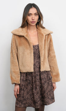 Hailey Faux Fur Coat G259J1780