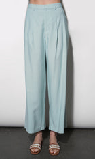 Yuri Wide Leg Pleated Pants G264P6566