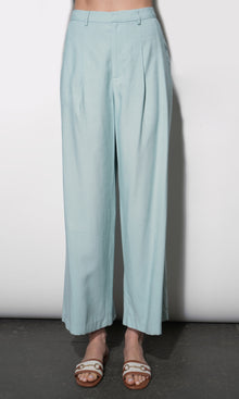 Yuri Wide Leg Pleated Pants G264P6566