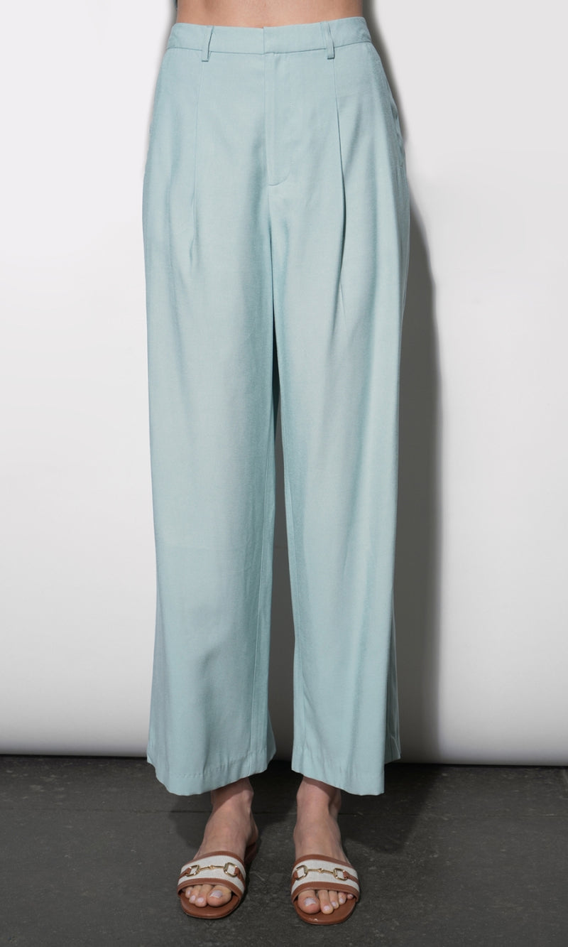 Yuri Wide Leg Pleated Pants G264P6566