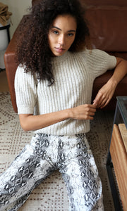Francis Cozy Marled Knit Short Sleeve Knit Top